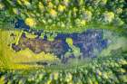 Finland, Lapland. Aerial view of a marsh in a forest. Art Print